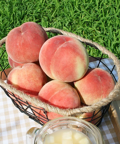 딱딱이 백도 4kg(중과/19과내)
